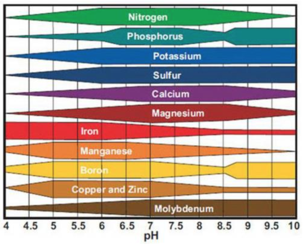 Plant Nutrient Interaction Chart