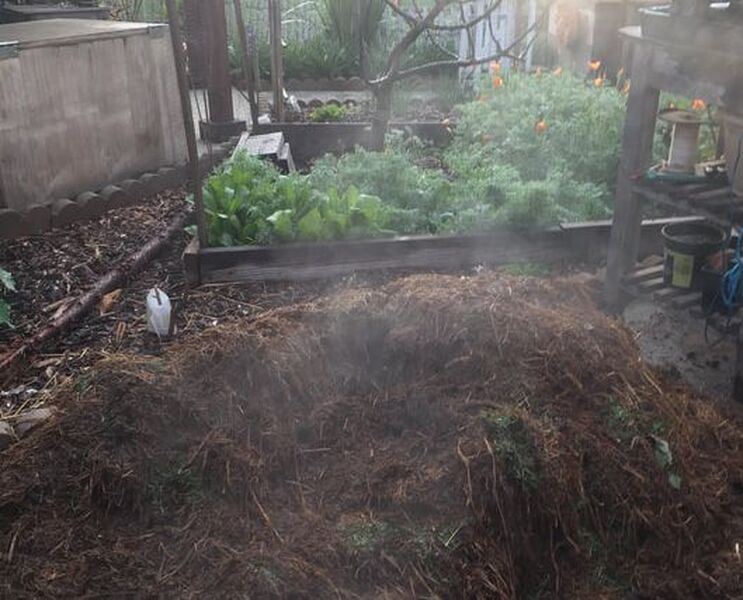 Compost pile of straw bedding and yard waste that has been opened up and steam is rising. In the background trees, paths, and a wood box can be seen.