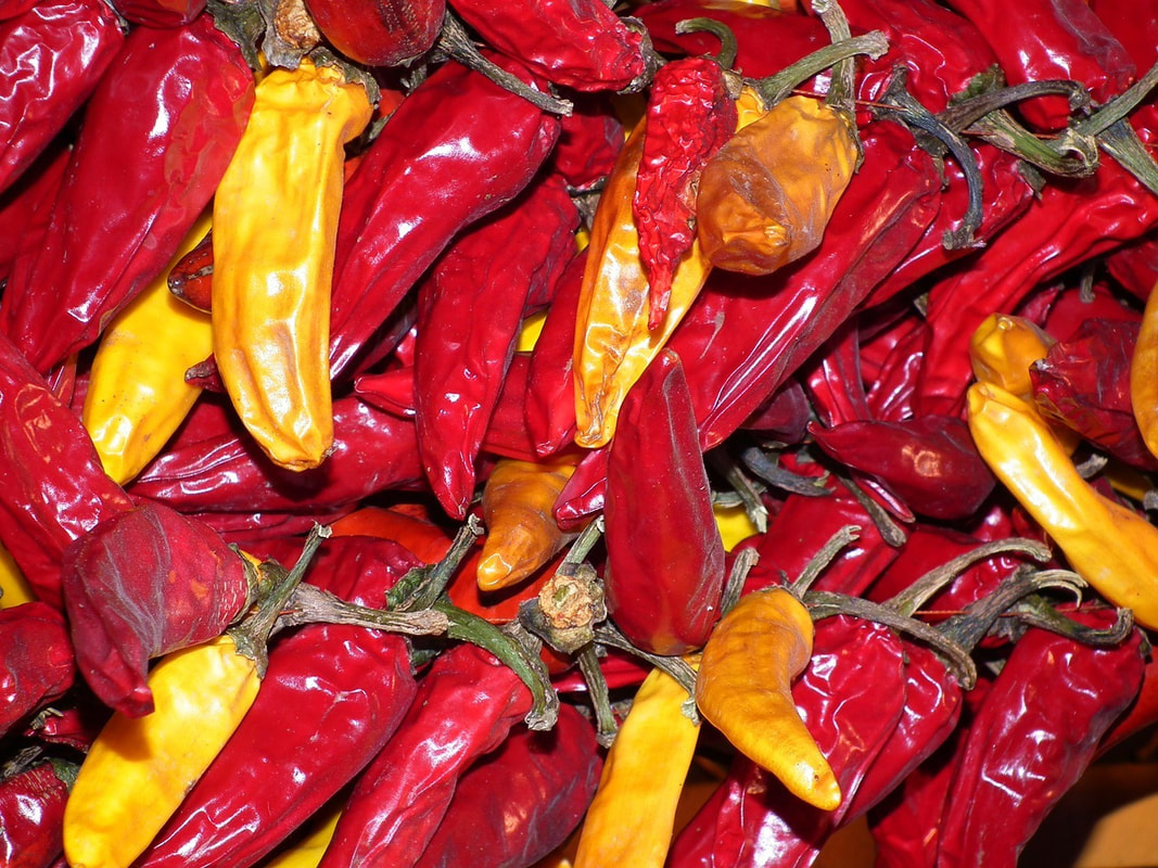 Collection of drying red and yellow Hungarian paprika peppers with brown stems