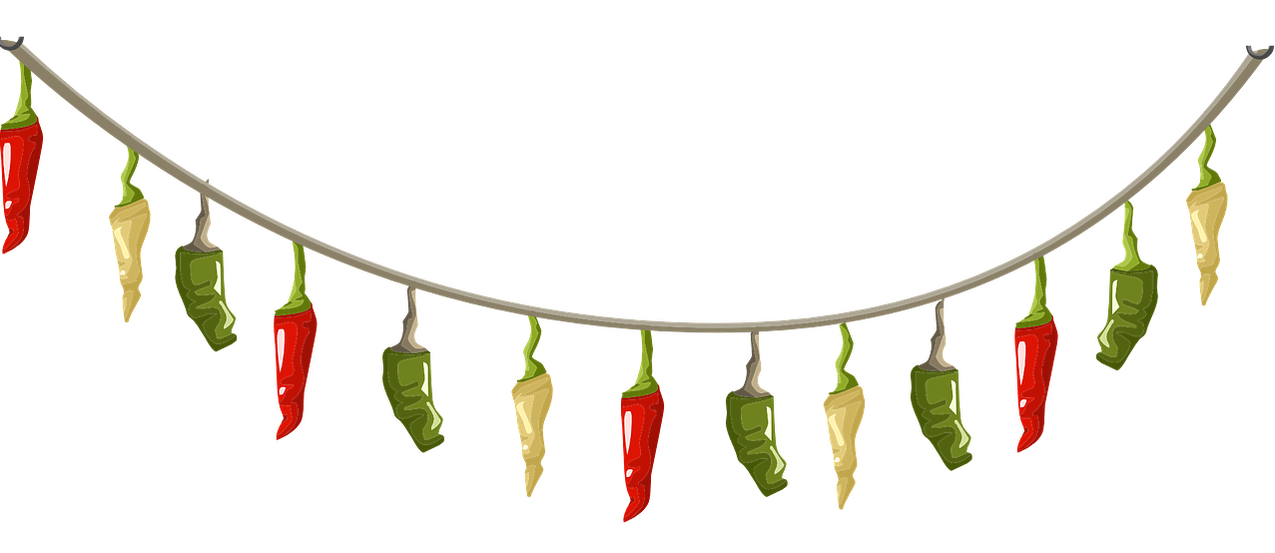 Drawing of red, yellow and green chili peppers hanging from a loop of cord to dry