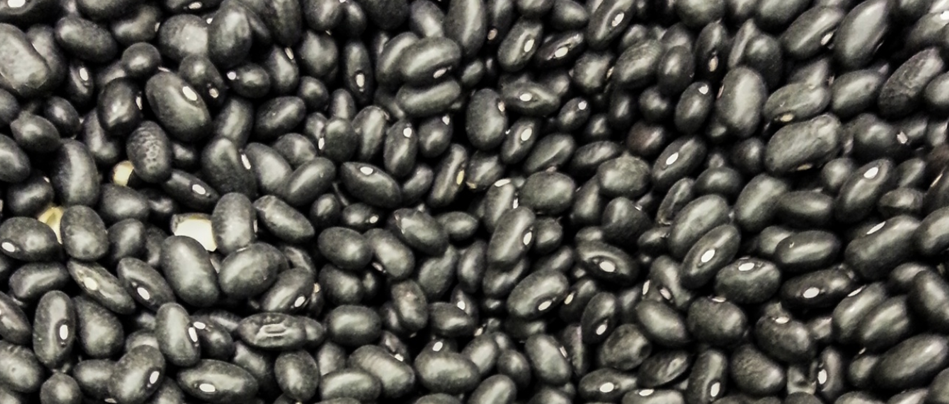 Collection of dried black beans.
